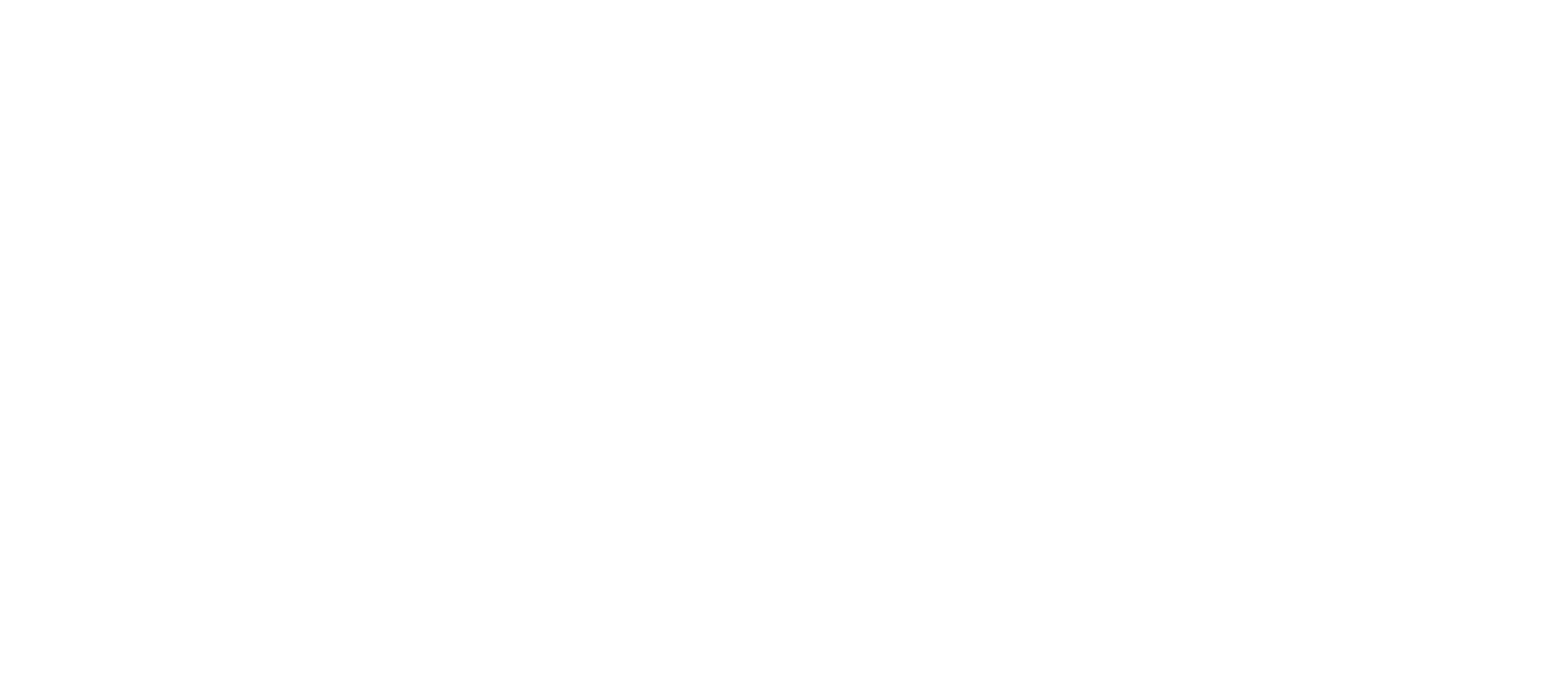 ZW HR Consulting